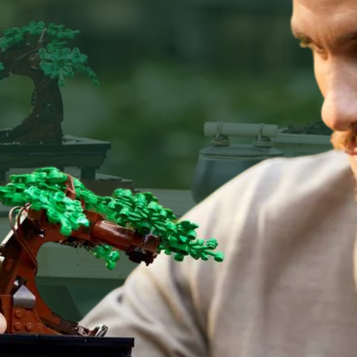 Después de San Valentín, sigue el valor: LEGO® Botanicals como decoración.