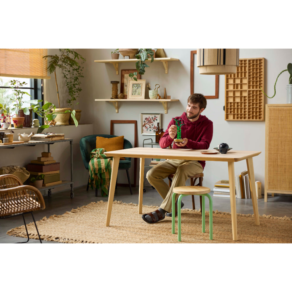 LEGO® Icons: Bambú De La Suerte (10344)_012