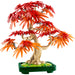 LEGO®Botanicals: Bonsái De Arce Rojo Japonés (10348)_002