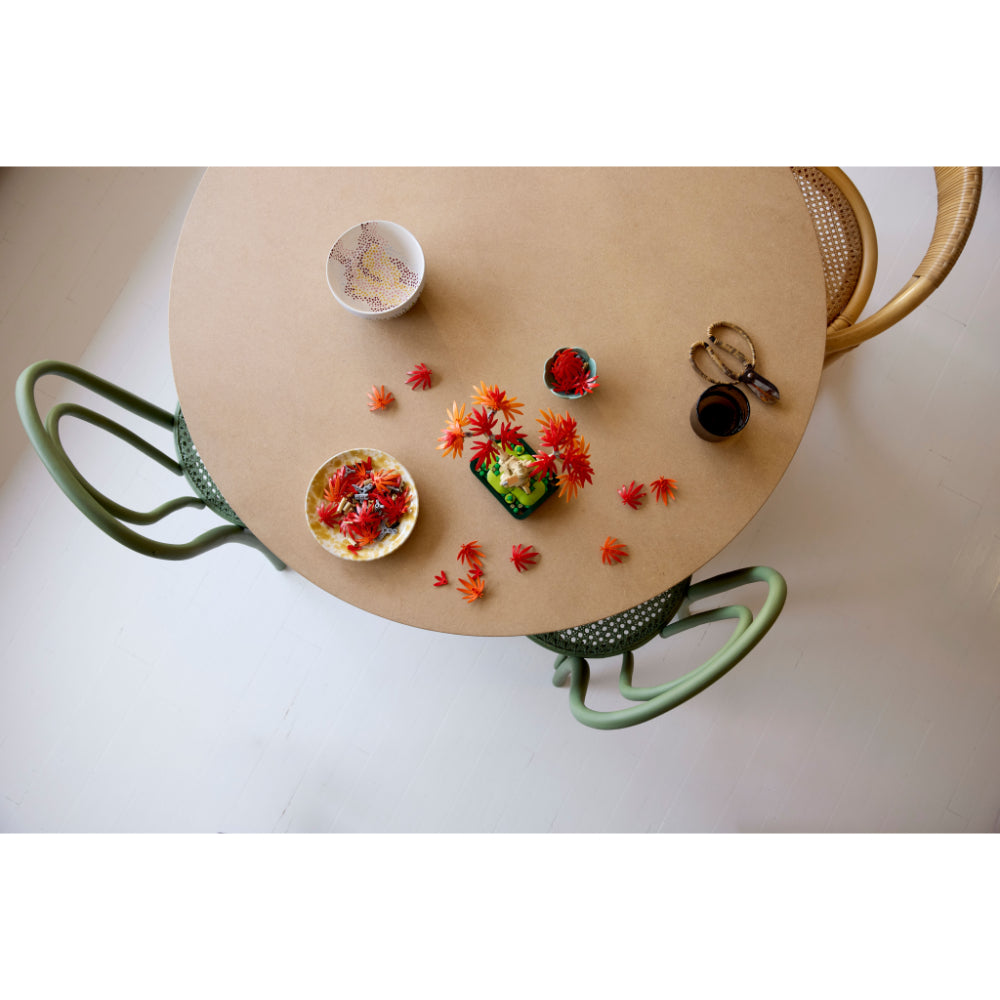 LEGO®Botanicals: Bonsái De Arce Rojo Japonés (10348)_006