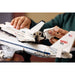 LEGO®Icons: Shuttle Carrier Aircraft (10360)_010