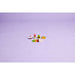 LEGO®Classic: Amigos Nutritivos Creativos (11039)_020
