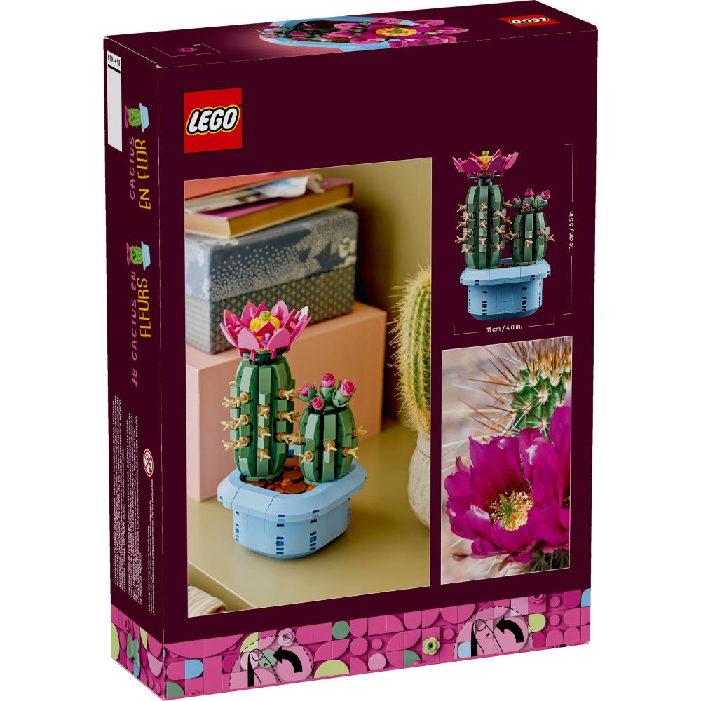 CACTUS EN FLOR