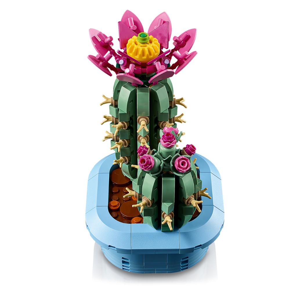 CACTUS EN FLOR