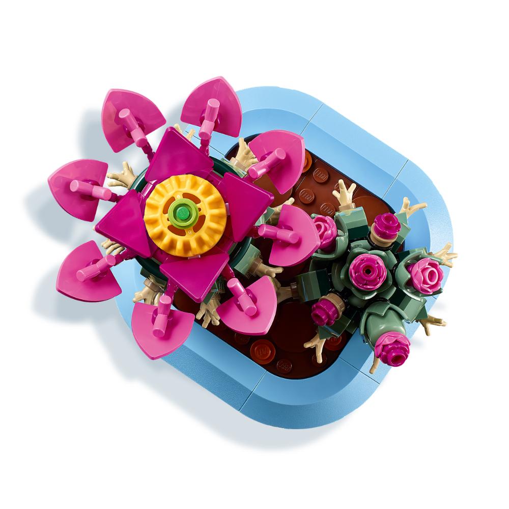 CACTUS EN FLOR