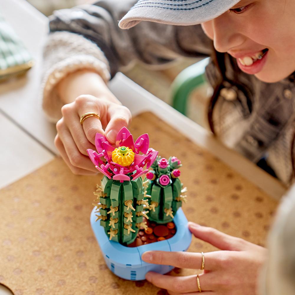 CACTUS EN FLOR