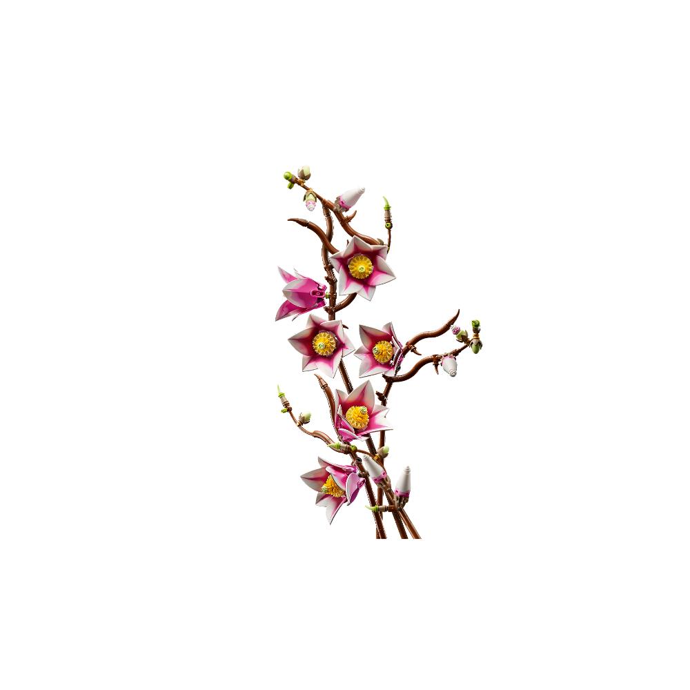 RAMAS DE MAGNOLIA