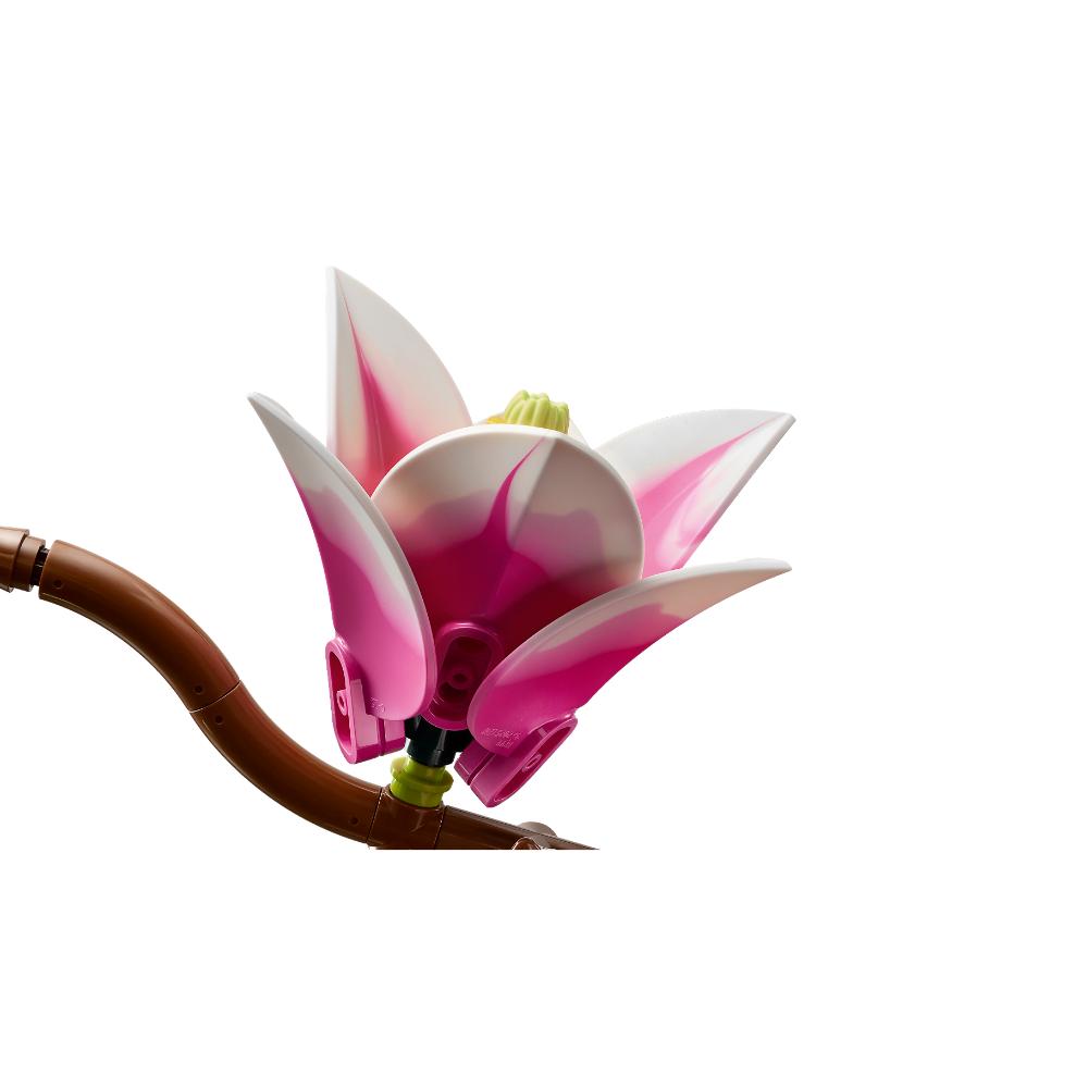 RAMAS DE MAGNOLIA
