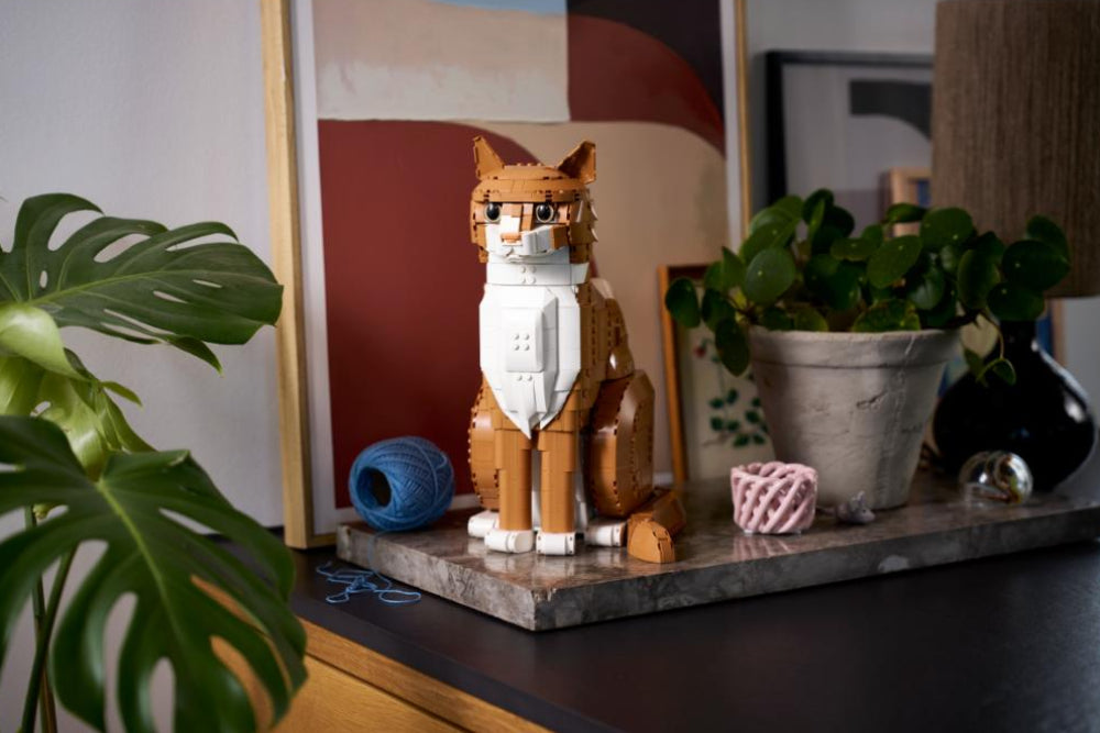 GATO NARANJA