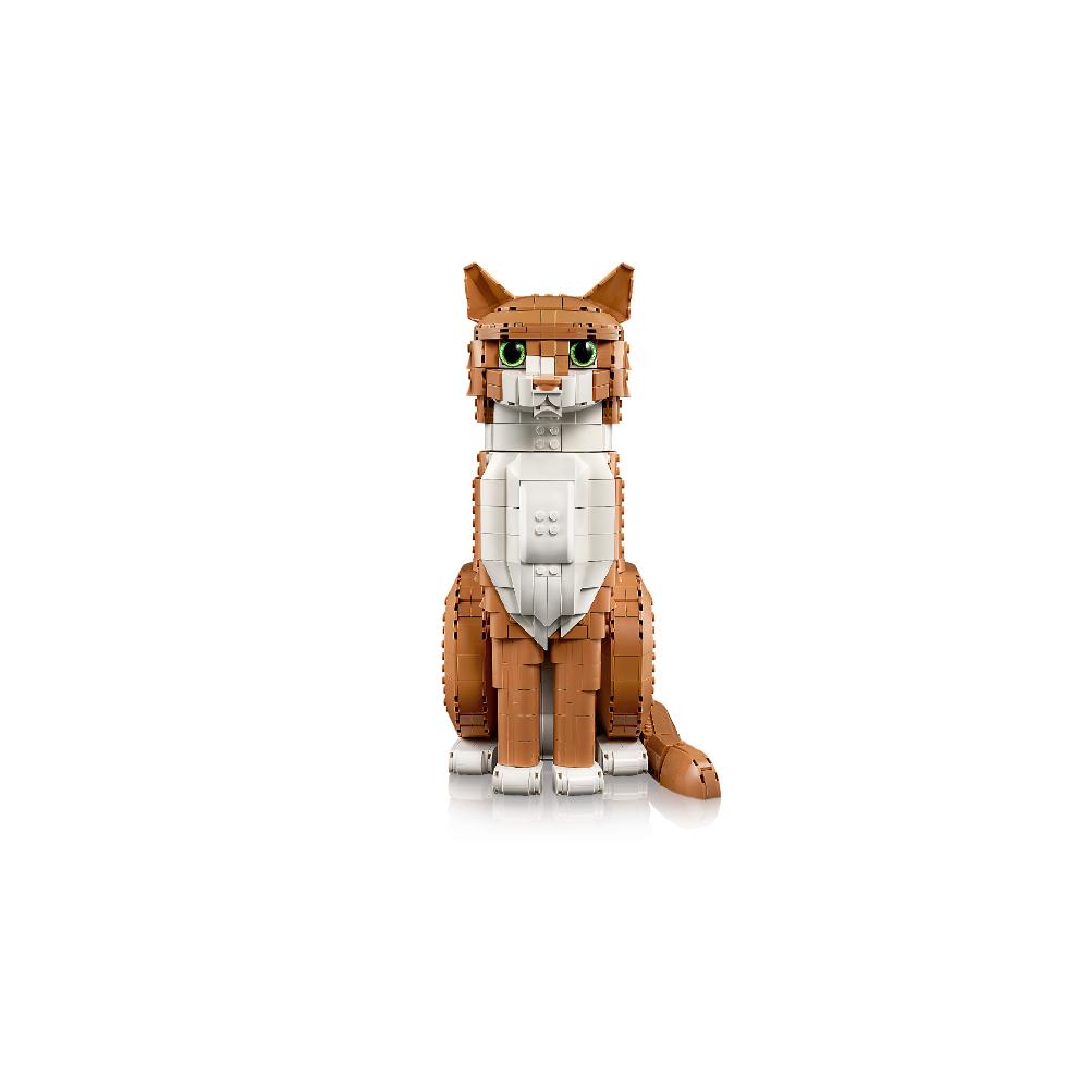 GATO NARANJA