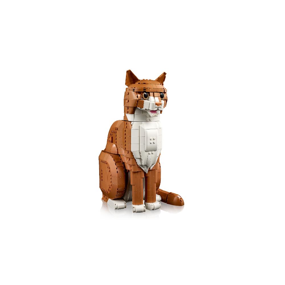 GATO NARANJA