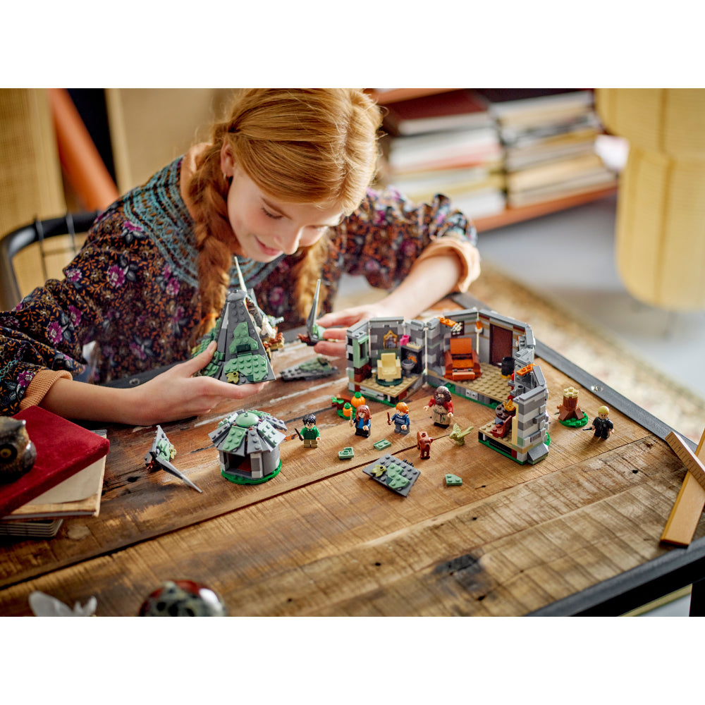 LEGO®  Harry Potter Cabaña de Hagrid: Una Visita Inesperada (76428) _007