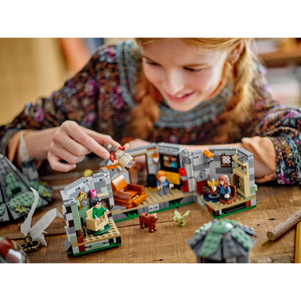LEGO®  Harry Potter Cabaña de Hagrid: Una Visita Inesperada (76428) _008