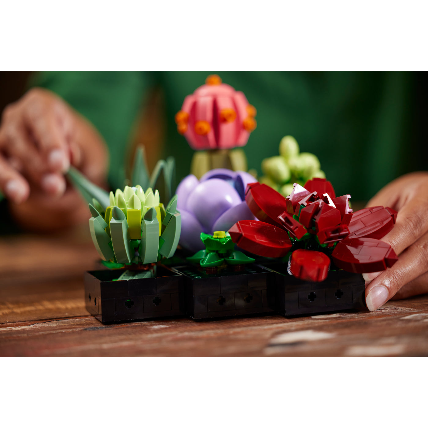 LEGO® Creator Expert, Icons Suculentas (10309)