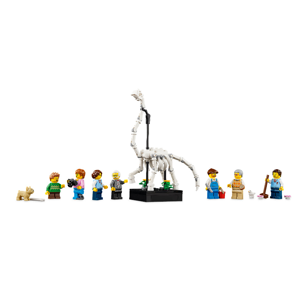 LEGO® Icons: Museo De Historia Natural (10326)_004
