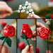 LEGO® Icons: Ramo De Rosas (10328)_005