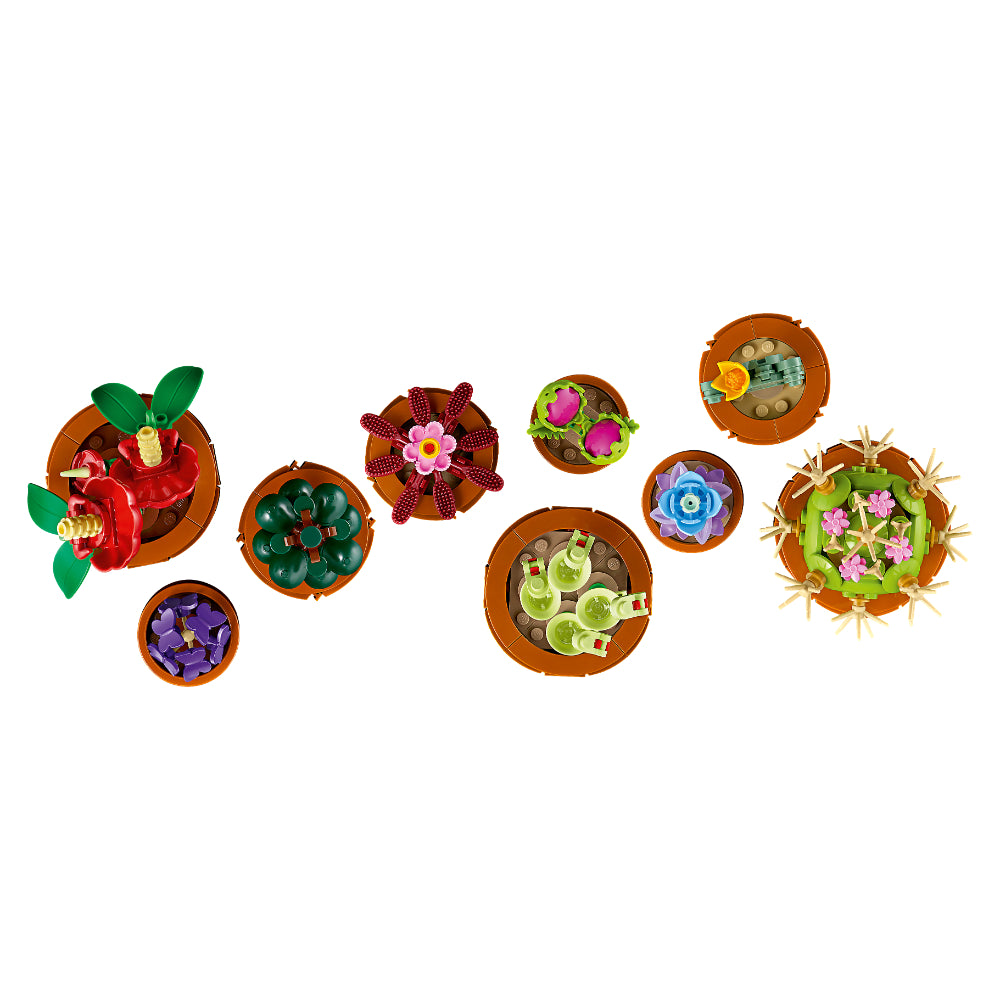 LEGO® Icons: Plantas Diminutas (10329)_004