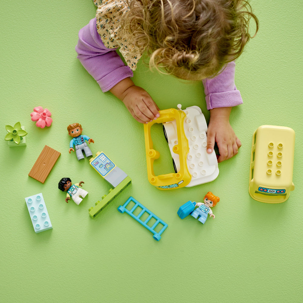 Paseo en Autobús (10988)