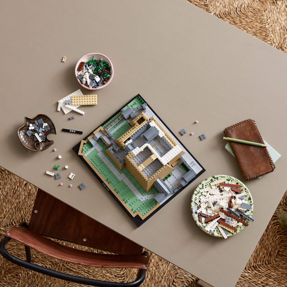 castillo de himeji (21060)