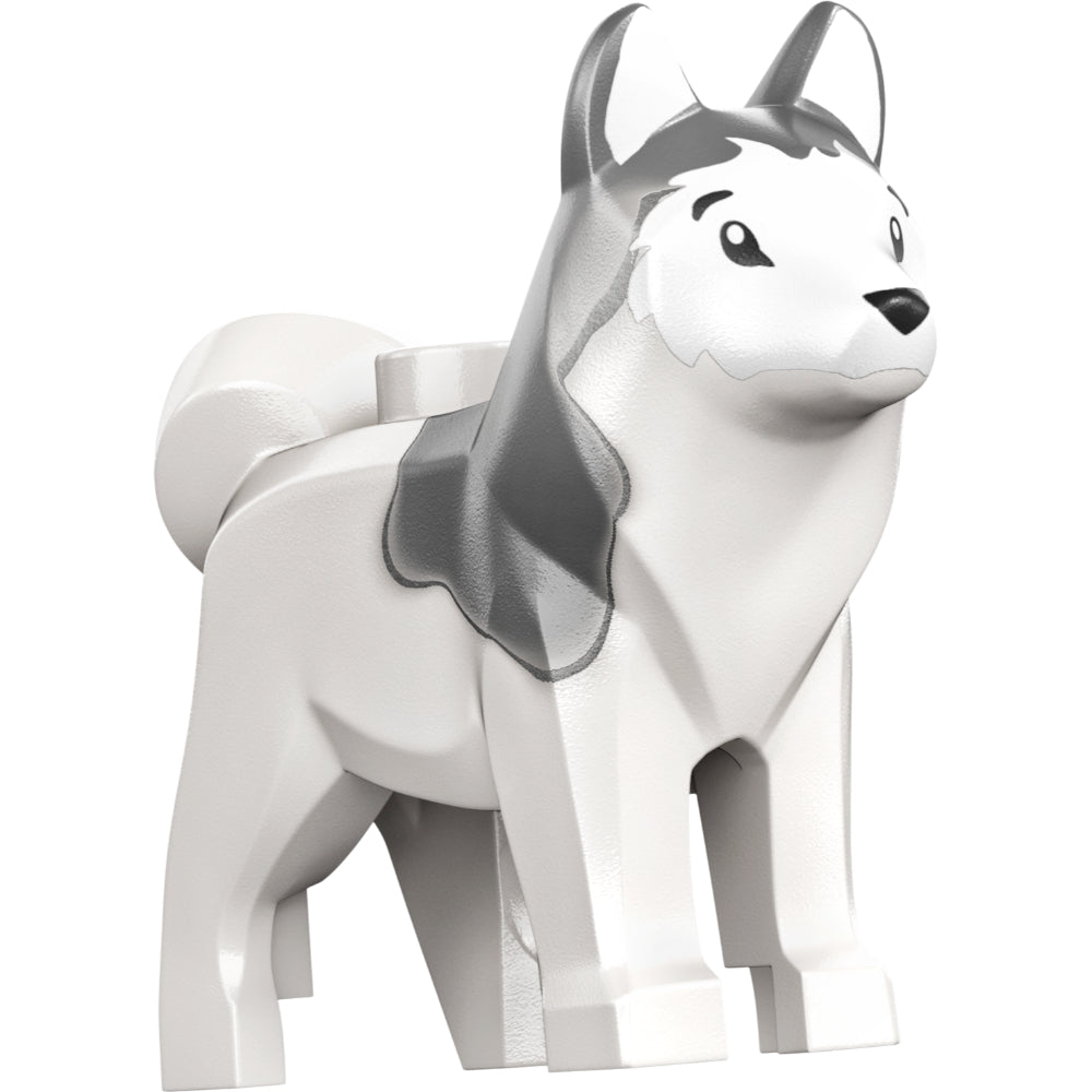 PARQUE CANINO Y PATINETE