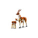 LEGO® Creator: Safari De Animales Salvajes (31150)_005