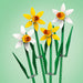 LEGO® Iconic: Narcisos (40747)_006
