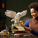 LEGO® Harry Potter™ Íconos de Hogwarts™: Edición para Coleccionistas (76391)