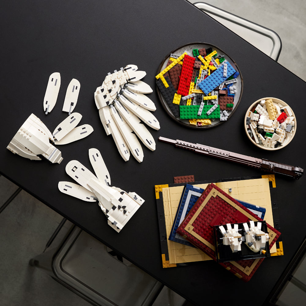 LEGO® Harry Potter™ Íconos de Hogwarts™: Edición para Coleccionistas (76391)